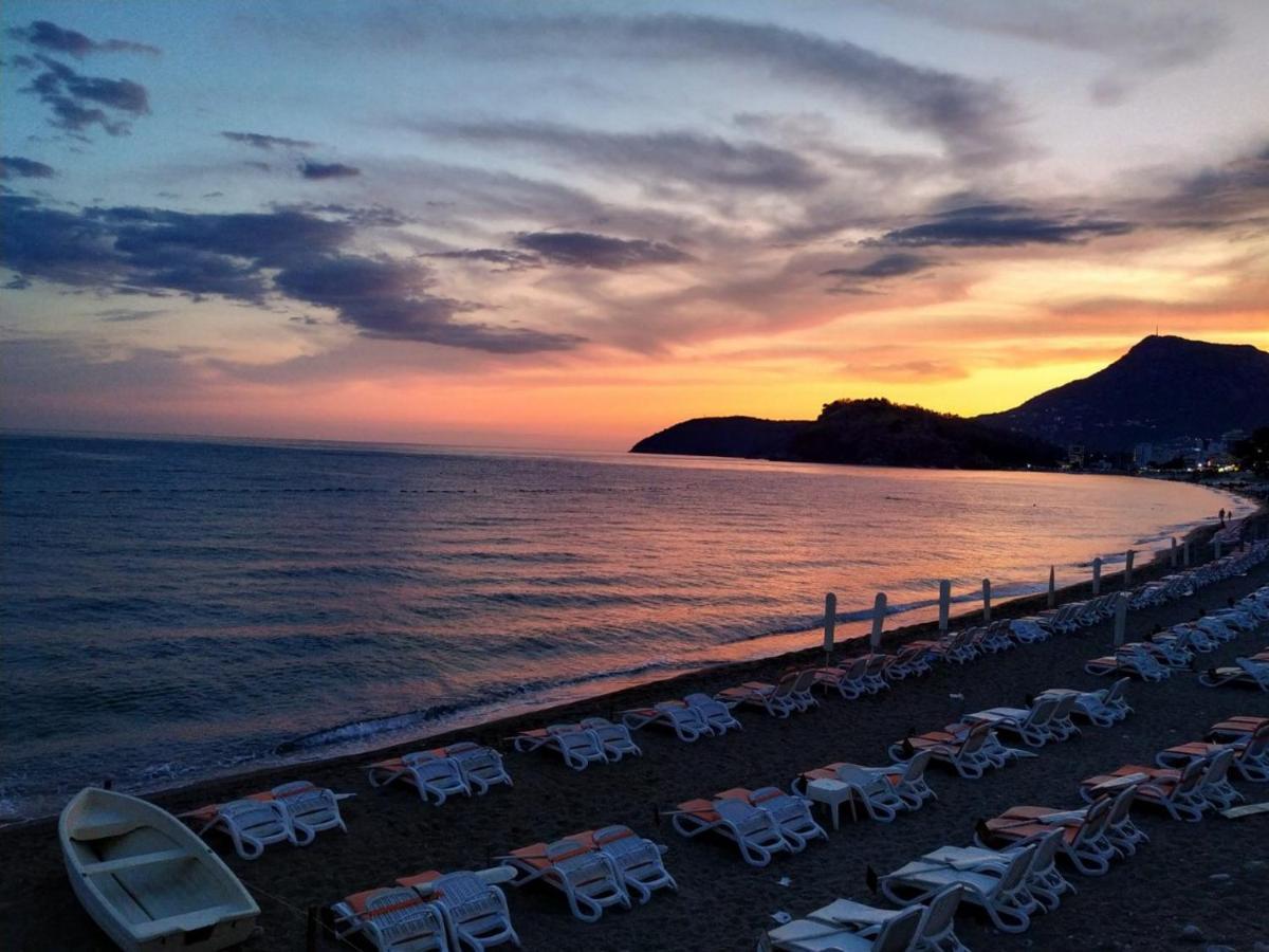 Orange Dreams * Sutomore