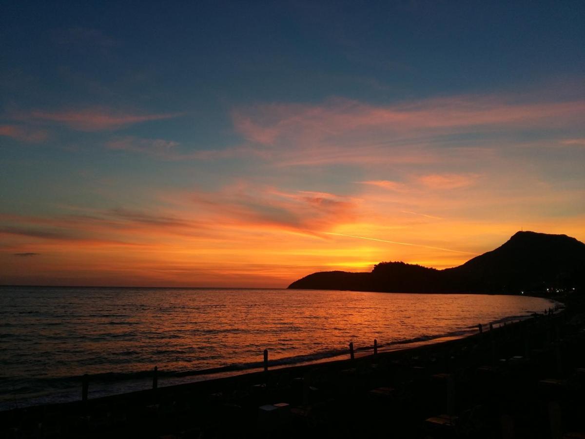 Orange Dreams * Sutomore